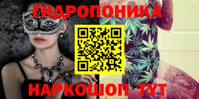 шишки Комсомольск-на-Амуре