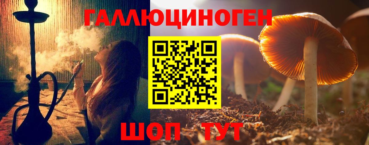 Галлюциногенные грибы прущие грибы  Вход с VPN  Щёлково 
