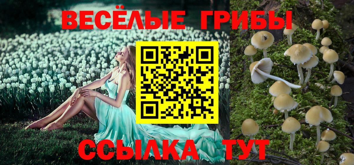 Галлюциногенные грибы прущие грибы Щёлково